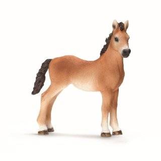  Haflinger Foal (Schleich: Horses): Toys & Games