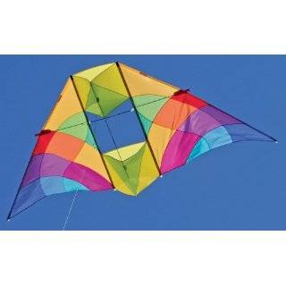  Into The Wind Mesa Delta Conyne Kite: Toys & Games