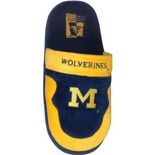  Michigan Wolverines 2011 Team Stripe Slide Slippers 