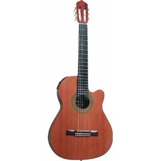 Giannini GWNFLE Performance Series Thin Body Cutaway Guitar (Acoustic 