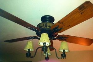 Topics related to Hunter Douglas Ceiling Fans Troubleshooting