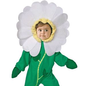 Daisy Flower 0 9 Months Halloween Costume Infant Baby