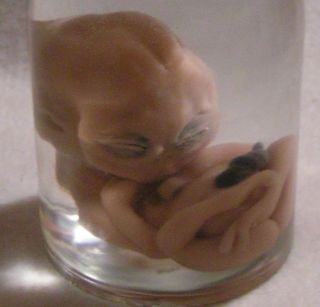 Alien Baby in Jar UFO Area 51 Alien Fetus Roswell 93