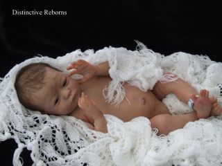Distinctive Reborns Newborn Baby Boy Doll Limited Edition Will Natalie Scholl