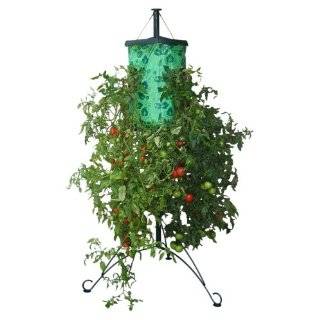   Allstar Marketing TT101101 Topsy Turvy Tomato Tree