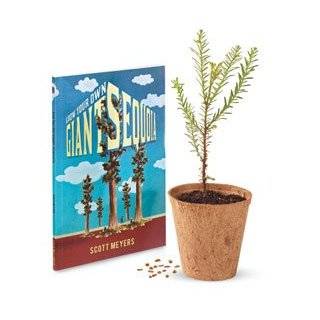 Red Maple Arbor Day Tree Growing Kit   Grow Red Maple Trees from Seed 