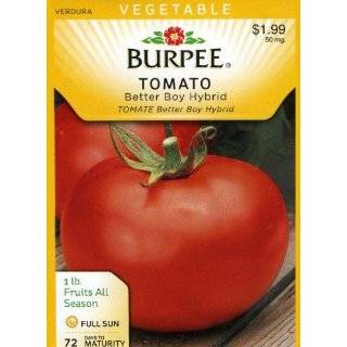  Burpee 64857 Tomato, Cherry Super Sweet 100 Hybrid Seed 